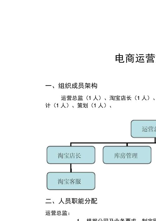 电商运营方案(运营是一个数据确保策略) 软件开发