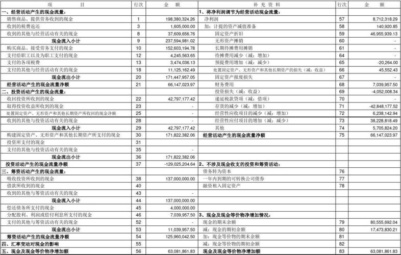 现金流量表自动生成，10分钟搞定月报表(资产负债表现金流量表报表自动生成搞定) 软件开发