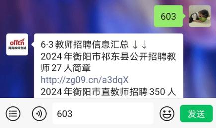 第1招考|2024年湖南邵阳市新宁县面向应届生招聘教育人才公告(体检岗位人员招聘报考) 软件优化