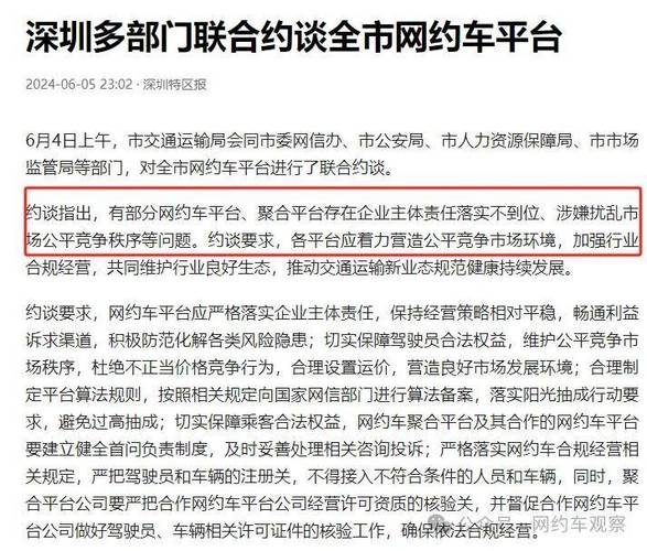 问题真多！赣州睿行网约车被查！(安远经营该公司拉客交通运输) 软件优化