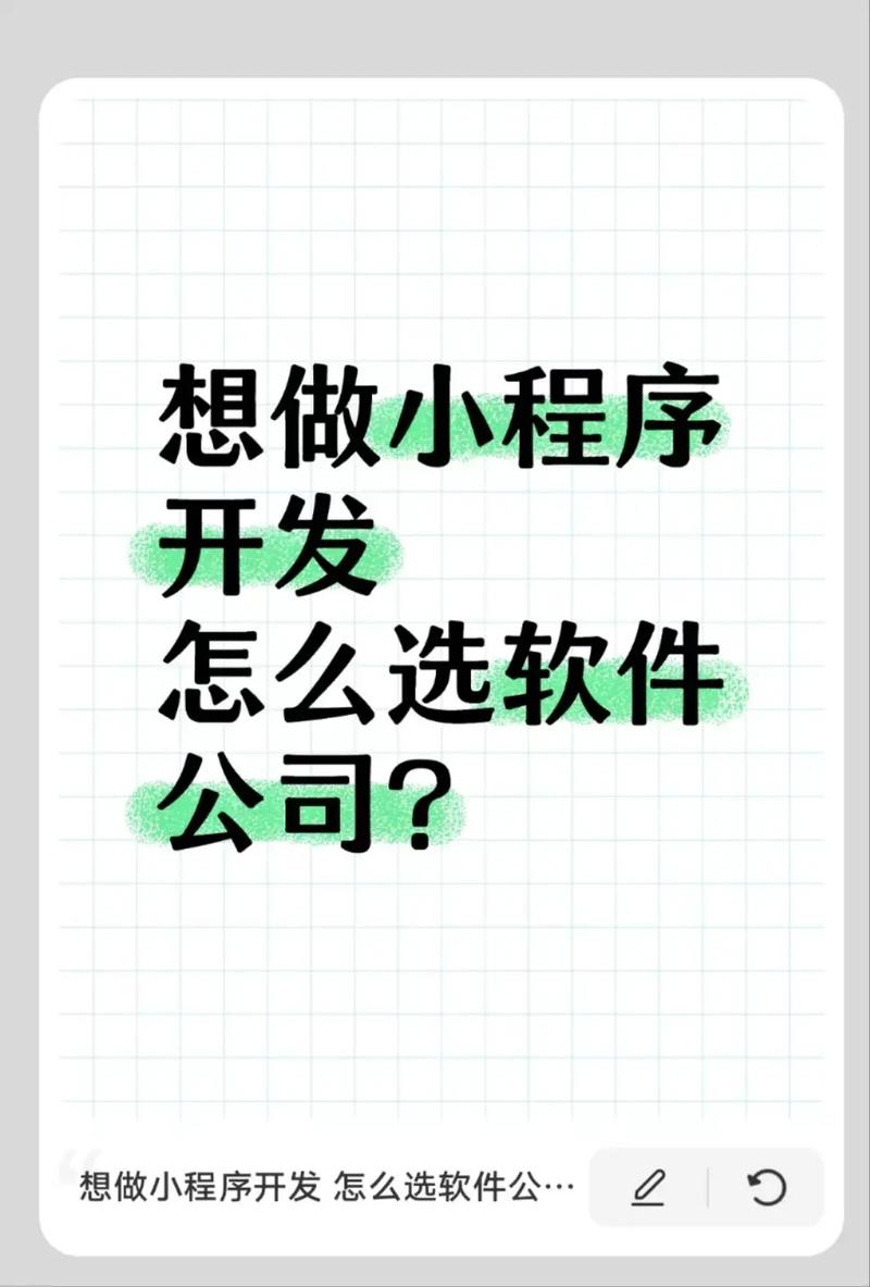 个人可以开发小程序吗？(程序开发技术就像公司) 软件优化