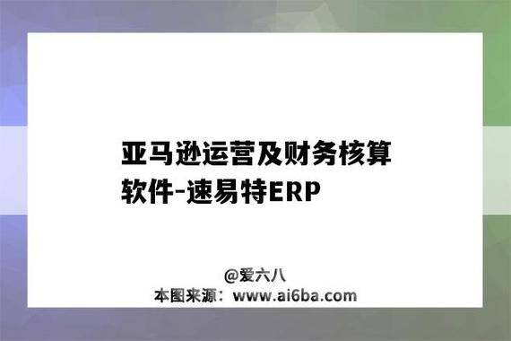 亚马逊运营及财务核算软件-速易特ERP(运营支持财务核算软件库存) 排名链接