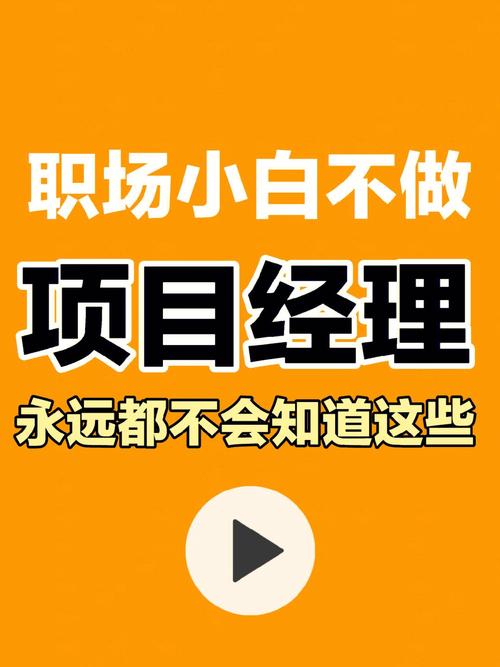 一切才刚刚开始...(项目经理转行项目刚开始才刚) 排名链接