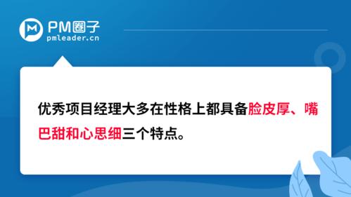 这两点很关键(项目项目经理技术人员转型技术) 软件优化