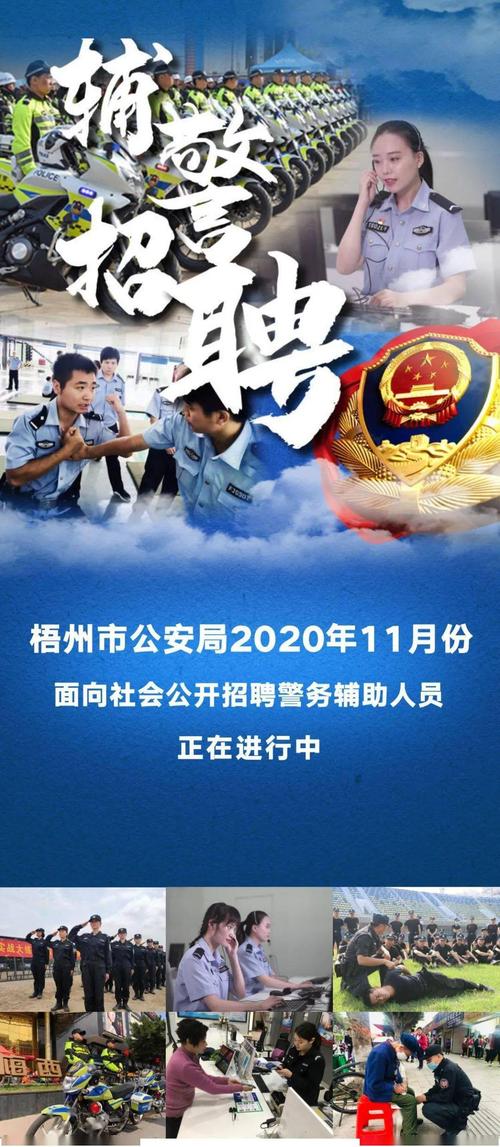 徐州市公安局网络安全保卫支队公开招聘警务辅助人员啦！(警务人员辅助招聘血亲) 软件优化