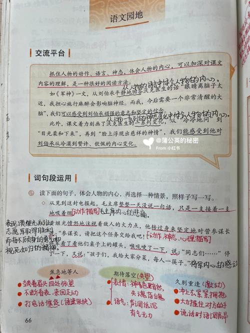 中小学语文《全神贯注》教学设计(亲戚事例课文描写神态) 排名链接