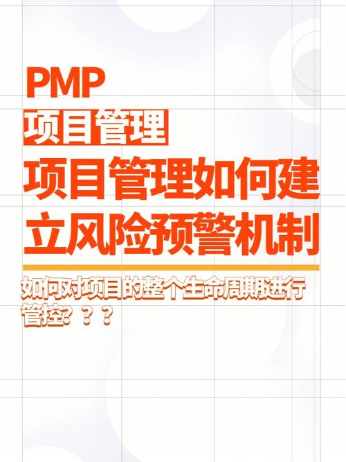 如何进行高风险预警管理？(预警风险机会高风险项目) 软件优化