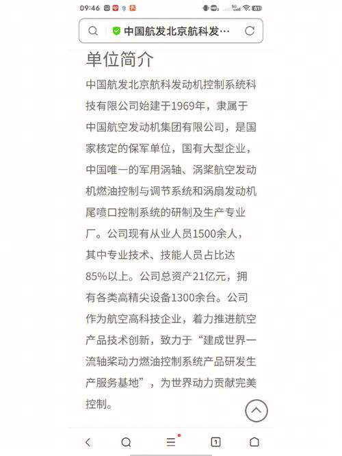 北京开发系统软件的公司有哪些(系统软件开发龟头奇事) 软件优化