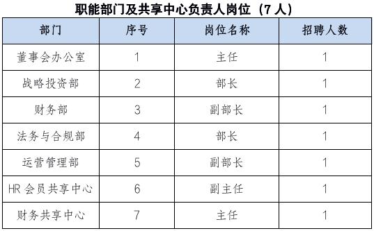 【社招】中智集团部分岗位公开招聘(集团工作能力编制预算) 软件开发