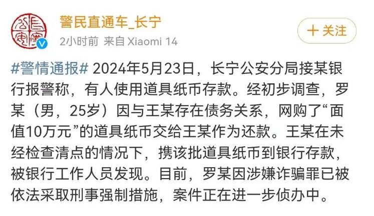 即可贷款10万元？上海两名90后“码农”“自主创业”开发App诈骗(警方贷款新民晚报缴纳万元) 软件开发