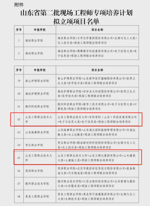 邹平17个项目成功入选2023年山东省第二批技术创新项目计划(项目股份有限公司技术创新入选抛丸) 软件开发