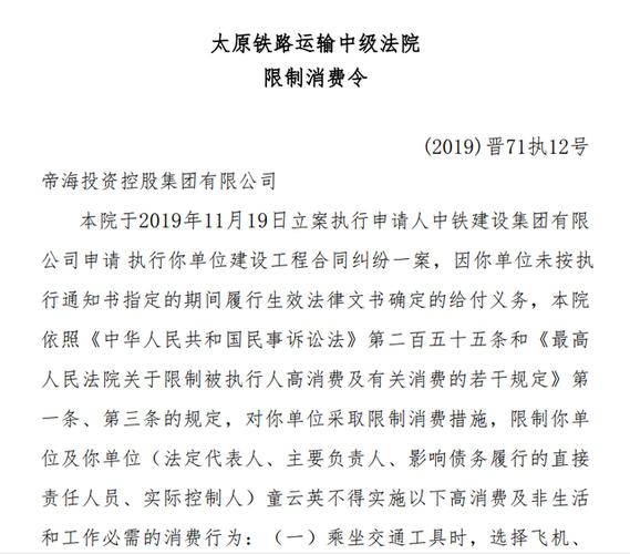 帝海集团及老板童云英被限制消费 此前股权大规模变动(集团新京报法院记者消费) 软件开发