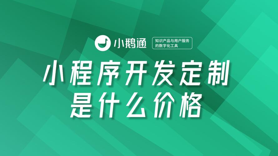 小程序开发商有哪些(程序开发商定制提供专业) 99链接平台