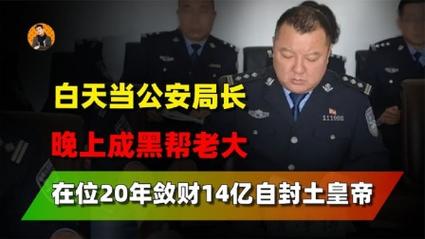 “科技公司”的敛财术(赌博柚子警方刘某团伙) 软件开发