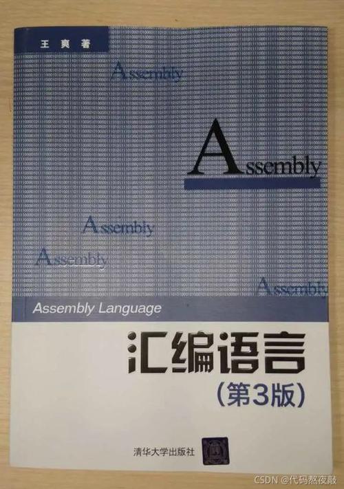 伤仲永？一个高中生的自学编程经历。看完能少走很多弯路(编程程序内核代码看完) 99链接平台