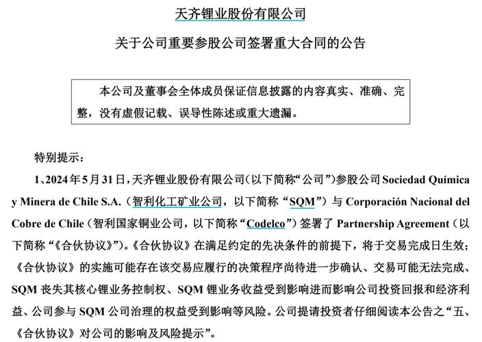 证券风险预警每日聚焦 2019年11月4日星期一(亿元盐湖公司深交所信息披露) 软件开发