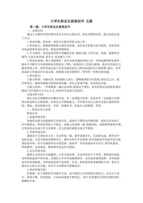 大学生职业生涯规划书(赛道串讲赛制就业能力) 软件开发