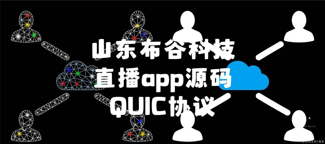 QUIC协议：改善性能与安全性(协议直播源码平台传输) 软件优化