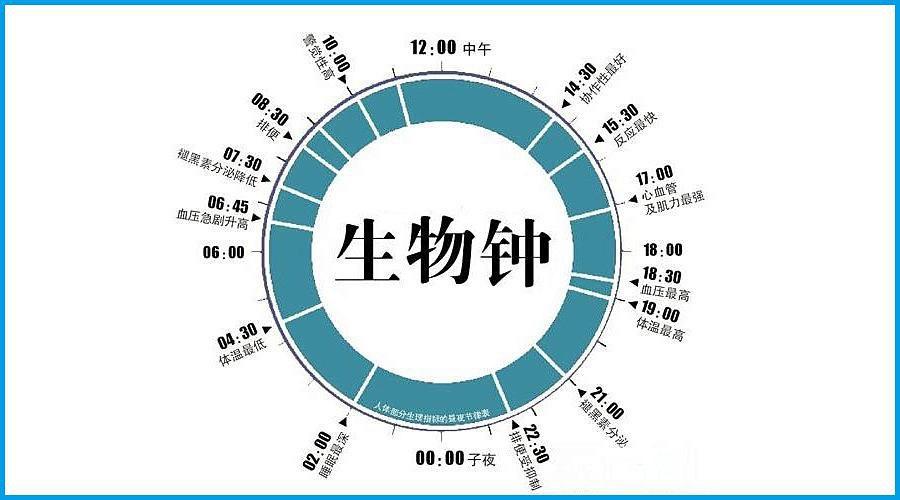 世界睡眠日：如何调整生物钟？专家支招(睡眠生物钟治疗运动睡前) 软件开发