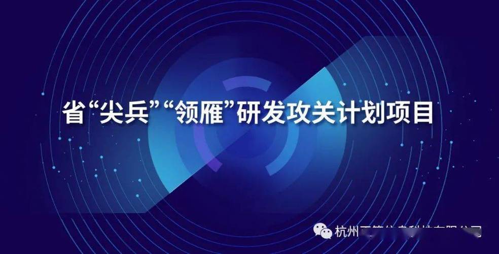 “尖兵”“领雁”省级立项！秀洲洪合镇科技硕果满枝头(尖兵研发光电光学科技) 软件优化