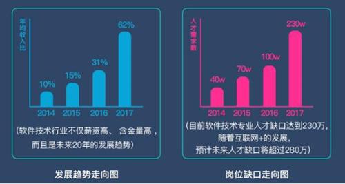 技术人员流动率高，国内软件行业人才需求持续增长(软件极目技术人才技术人员行业) 软件开发