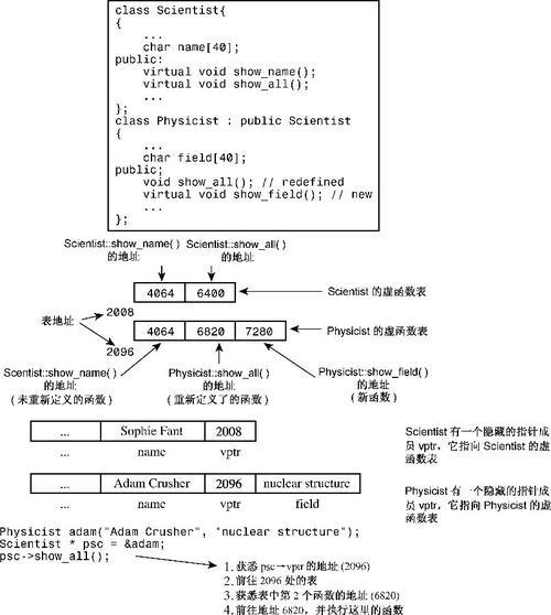 C++ 一篇搞懂多态的实现原理(函数指针调用的是多态) 软件开发