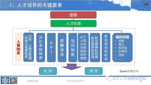 中小企业ERP建设中人才培养(人才人才培养企业建立培训) 排名链接