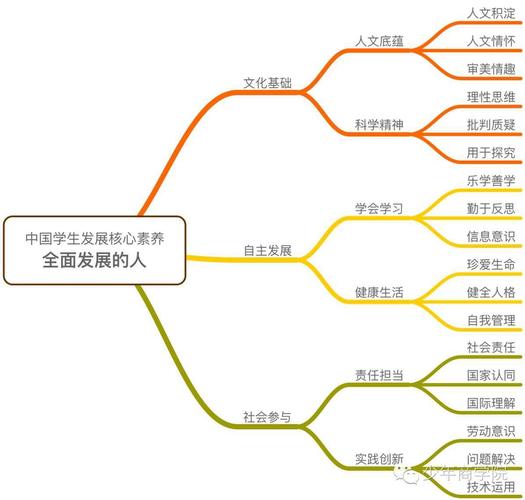 整体力量的激发才能完成学校的整体变革(素养未来核心是从创新) 软件优化