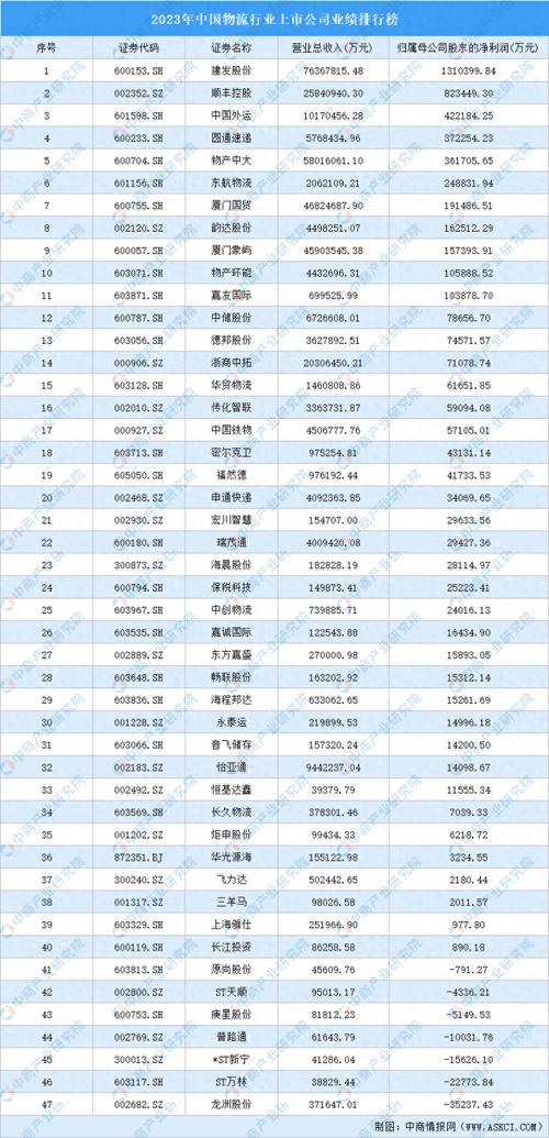 中国软件公司排行榜前十名有哪些(万元项目开发龟头奇事) 软件优化