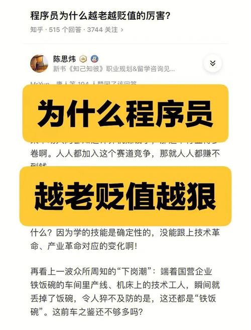 程序员是铁饭碗吗？有哪些是程序员铁饭碗的工作？(铁饭碗程序员工作有哪些自己的) 排名链接