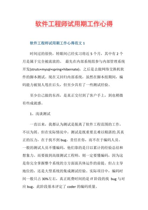 一个刚毕业大学生：三年软件工程专业学习感受。(学习都是语言软件工程程序员) 软件开发