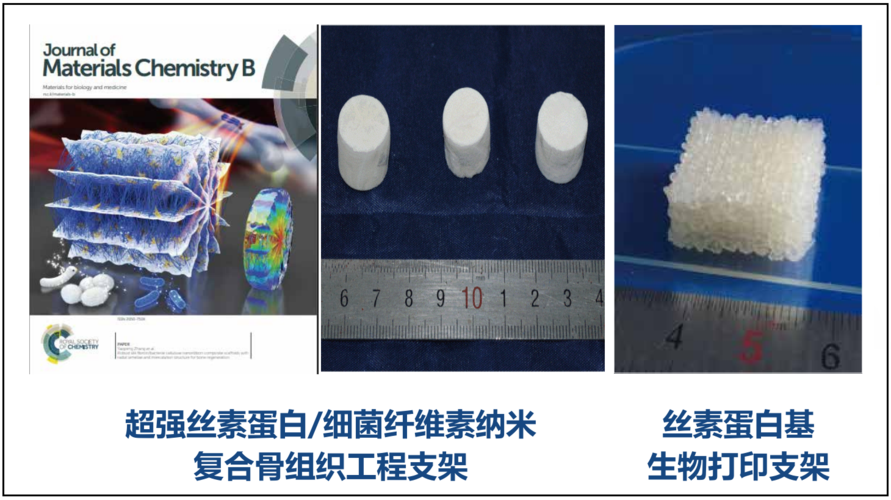 植物蛋白基仿生肉制品研究进展丨Engineering(生肉植物蛋白肉制品蛋白动物) 排名链接