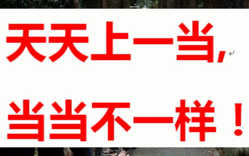 天天都上当当当不一样(的人骗局我想中老年人讲话) 软件优化