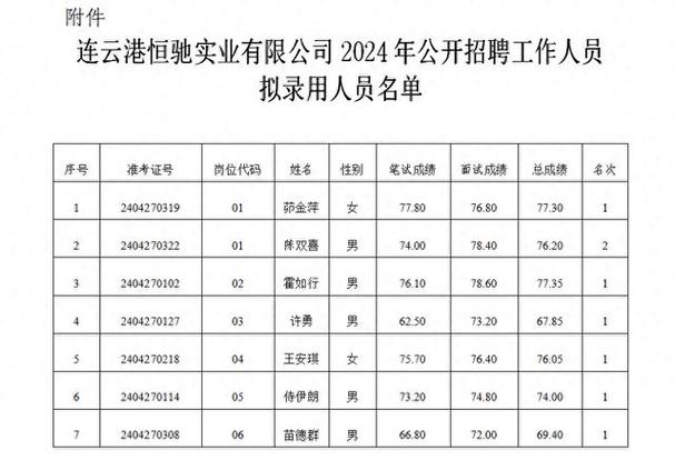 连云港恒驰实业有限公司2024年公开招聘工作人员公告(实业有限公司公司应聘者团队发展) 软件开发