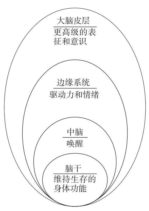 我爱我很棒(神经元我爱就会工作原理带你) 软件优化