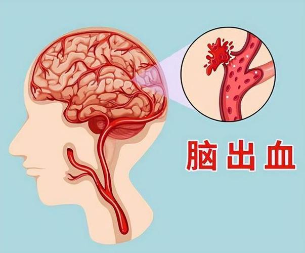 数十人生命这样被挽回(车辆许仙雨夜后续生命) 软件开发