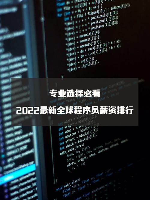 在美国当程序员年薪30万美元，永远不忘自己是中国人(程序员年薪是中国人不忘博士) 99链接平台