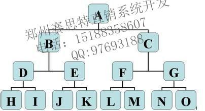 双轨制系统开发流程(会员报单双轨制奖金查询) 软件优化