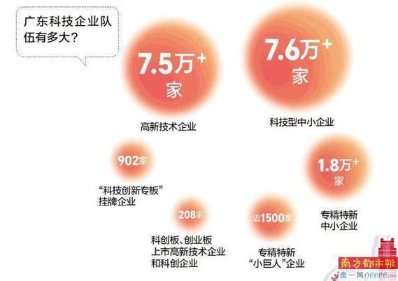 硬核研发是短板(产业未来创新企业集聚) 软件开发