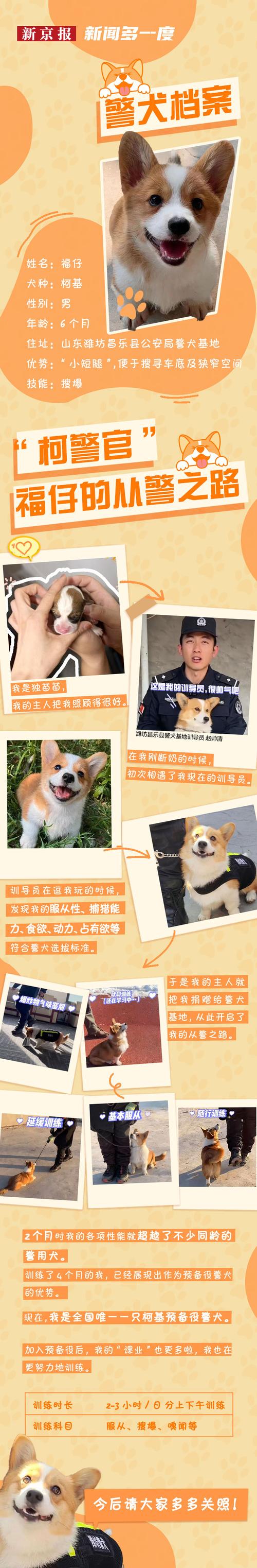 转正加提成(面试快递物流走了警犬) 99链接平台