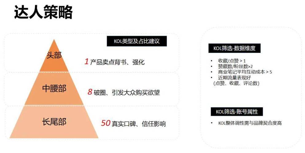 小红书投放策略制定全流程及案例分析(投放互动小红笔记成本) 软件优化