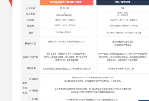 学编程要多少学费？(学费编程北大青鸟要多都是) 软件开发