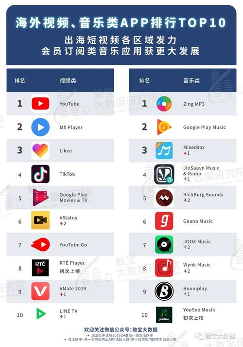 国外十大短视频软件(视频十大国外软件用户) 排名链接