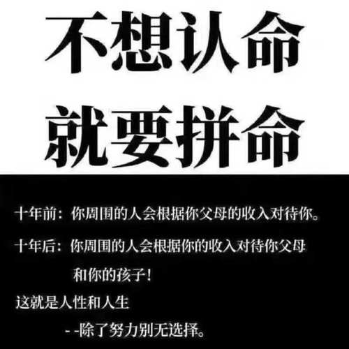 你如何处理一个不努力工作的非常聪明的开发人员(的人工作开发人员事情时间) 99链接平台