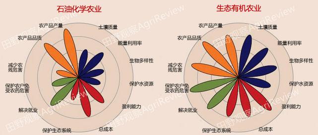 农业如何挣钱？看准这五大方向(农业农产品耕地大方向发展) 排名链接