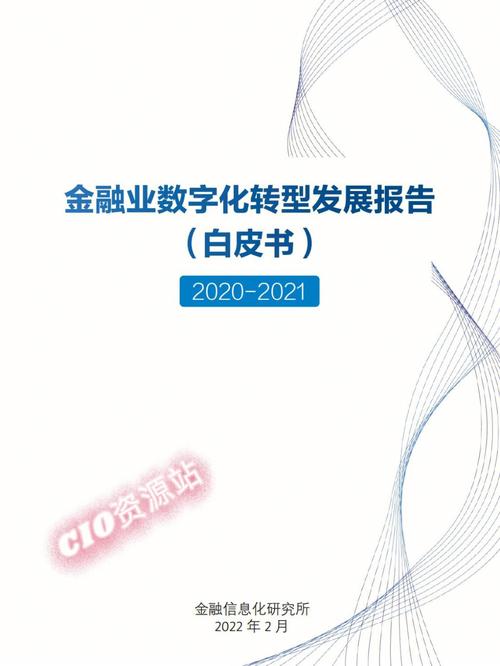 金融业能否抓住数据红利(数字化金融数据转型风险) 软件优化