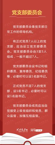 中共中央印发《中国共产党支部工作条例（试行）》(党支部党员党支部书记组织党组织) 软件优化