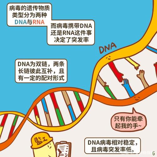 人类要做造物主？(病毒人类合成遗传物质核酸) 排名链接