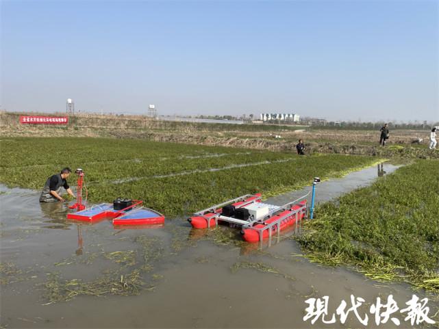 江苏水芹机收实现“零突破”(水芹收割机采收收割省时省力) 软件开发