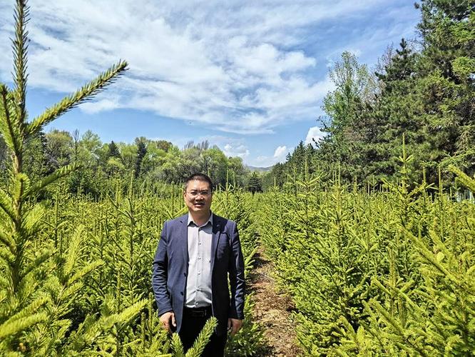 最具三农情怀企业家 | 候永良：千年药乡“当归雁”(中药材当归种植最具三农) 软件优化